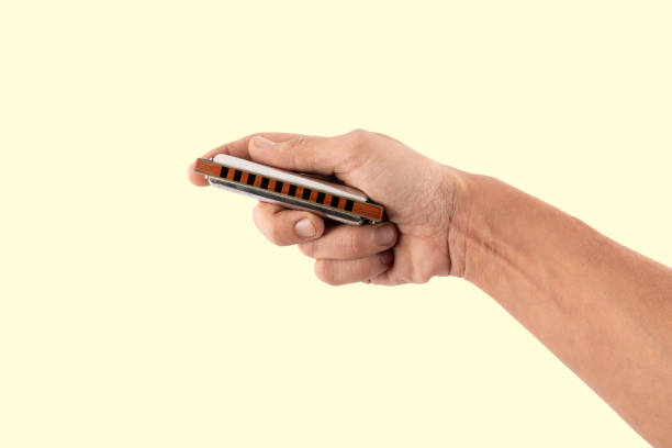 Hands Of A Professional Player On The Accordion Buttons.