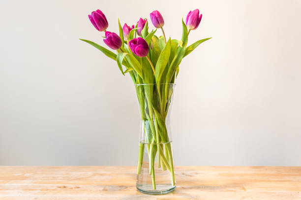 Fresh Purple Tulips in a Glass Vase