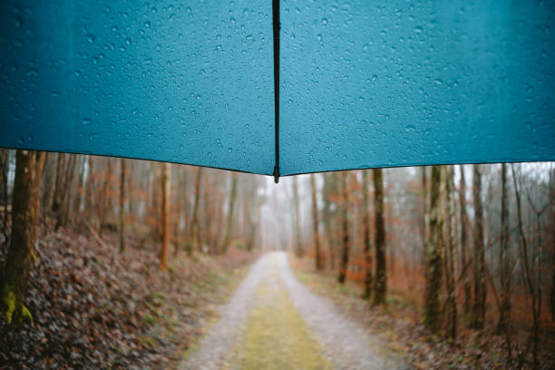 Rainy forest scene as seen from under a blue umbrella. Close up shot, water dripping down the umbrella, blurry autumn forest in the background, no people.