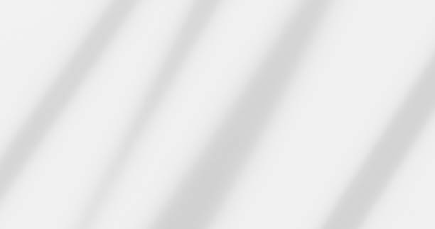 istock Shadow of leaves tree plant overlay on white wall. 2196910356