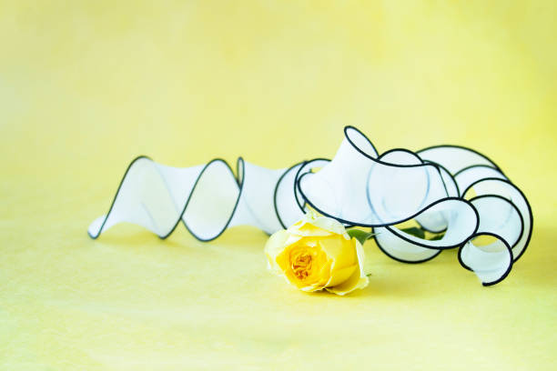 Two white roses are behind a  handwritten signature of MOM title  to celebrate Mother's Day greeting card on green background. Easy to crop for all your social media and print sizes.