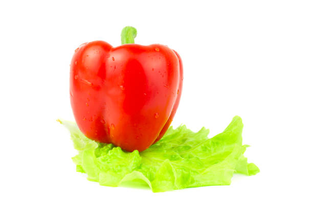 Pepper on white background, studio shot