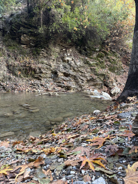 istock mountain river fast for waterfall rapids stream autumn 2196913881