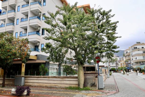 istock White residential buildings 2196916133