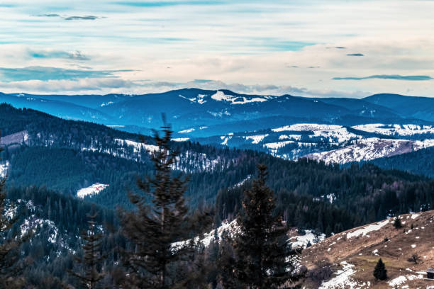 Landscapes - Forest - Europe, Romania, Suceava region