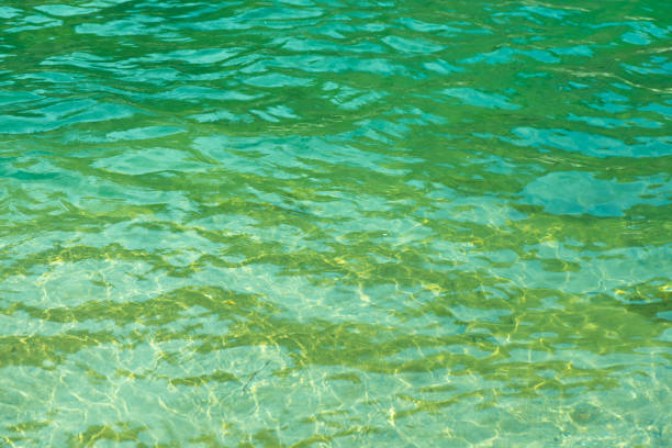 istock Blue water with ripples on the surface. Defocus blurred transparent blue colored clear calm water surface texture with splashes and bubbles. Water waves with shining pattern texture background. 2196923030