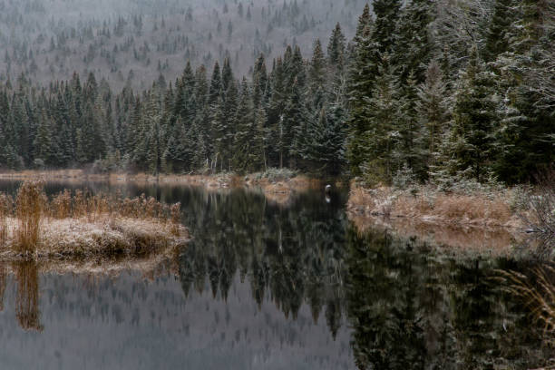 istock Landscape of a Peaceful Lake with Sharp Reflection Surrounded by Frosted Dense Canadian boreal Forest during Autumn 2196929803
