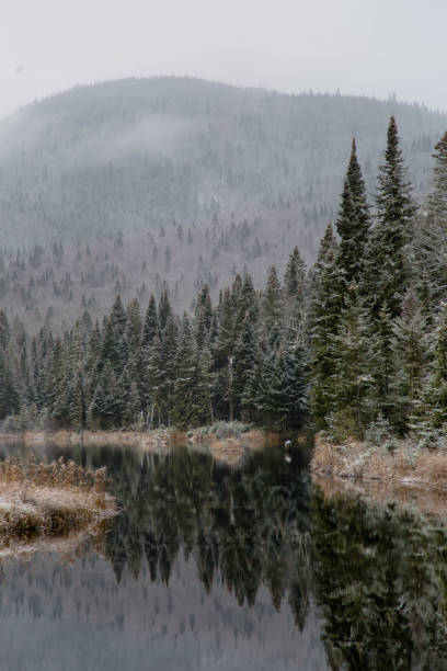 istock Landscape of a Peaceful Lake with Sharp Reflection Surrounded by Frosted Dense Canadian boreal Forest during Autumn 2196929805