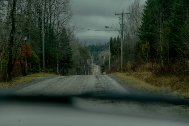 Shot of an empty paved road with electric poles surrounded by pine trees and Canadian boreal forest in Autumn. Taken in Quebec, Canada, during an Autumn day.