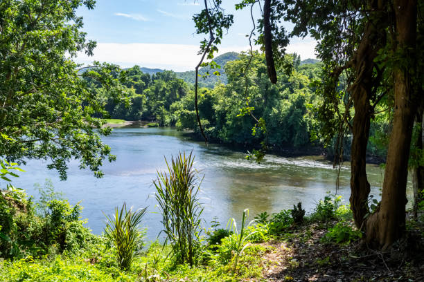 Beautiful riverside scenery surrounded by abundant greenery and natural forest in Thailand. The tranquil river reflects the serene blue sky, creating a peaceful and picturesque tropical environment.