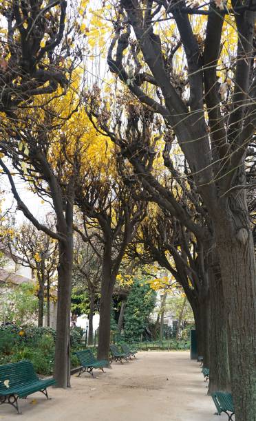 istock Walkway in Public Park Paris 2196934804