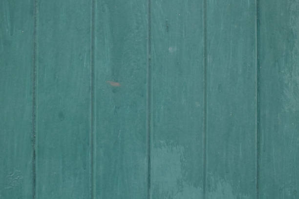 Close-up of a green door showcasing its textured surface, providing a unique background.