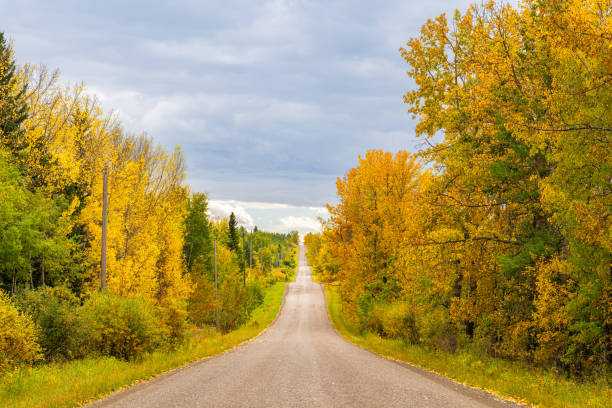 Country road in autumn landscape