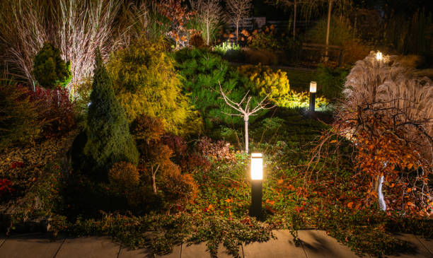 istock Illuminated Garden by LED Lights Landscape at Night Featuring Various Plants and Light Fixtures 2196952307
