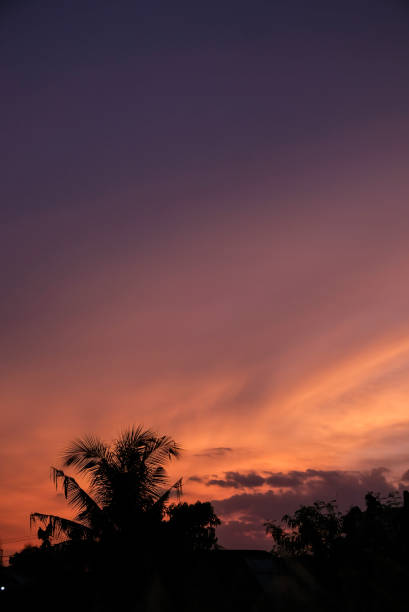 istock Beautiful sunset with silhouettes of trees. 2196952528