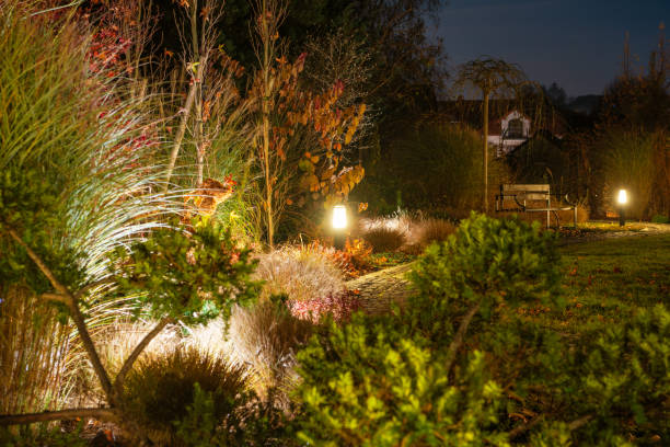 istock Softly Lit Garden Path in Autumn Evening With Plants and Bench in Tranquil Setting 2196952758