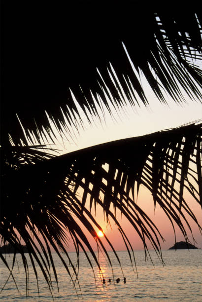 istock A tropical beach sunset in Koh Chang, Thailand overlooking a beach 2196954987