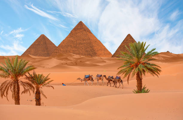 Camel caravan in front of the Great pyramid of Giza complex - Cairo, Egypt