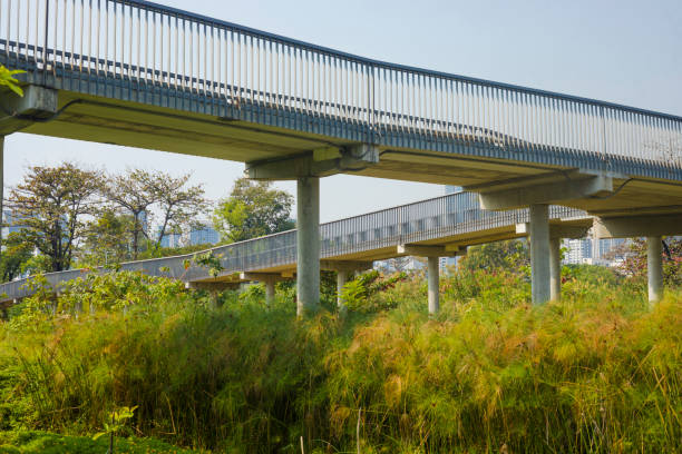 istock Elevated walkway in Benjakitti Park of Bangkok 2196960643