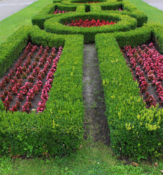 istock Red ornate plants inside a circle green hedge 2196961907