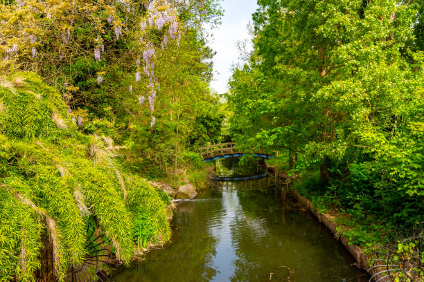 istock Regent's park landscape in spring, London, UK 2196962496