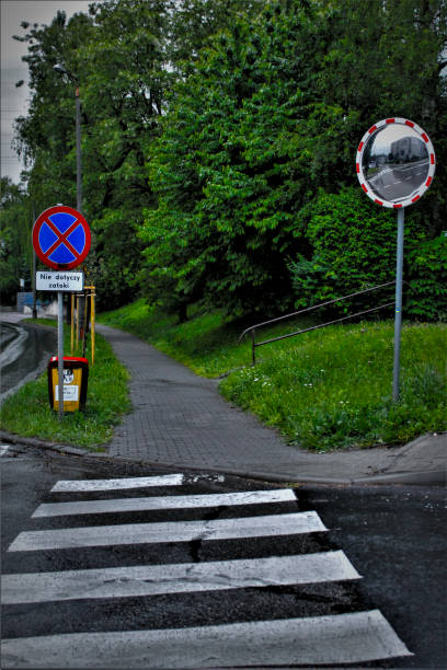 istock Crosswalk to the sidewalk by the green trees 2196963879