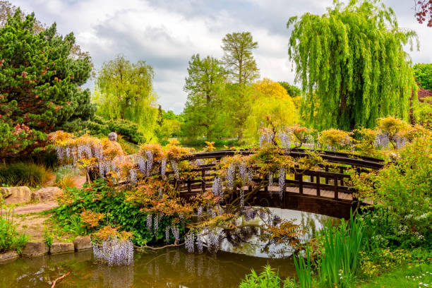 istock Regent's park landscape in spring, London, UK 2196963923