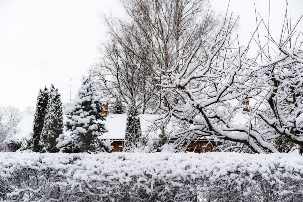 A chain link fence covered in snow photographed from the front, snow stuck to and frozen into the fence details, a yard photographed through the fence during a snowfall, weather conditions snowfall
