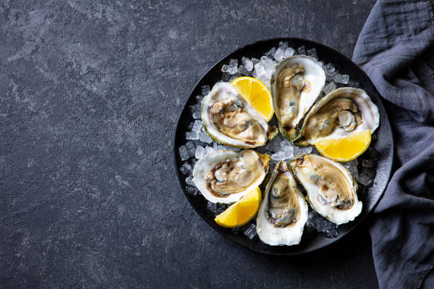 istock Fresh oysters with lemon on crushed ice. Dark background. Copy space. Top view. 2196969629