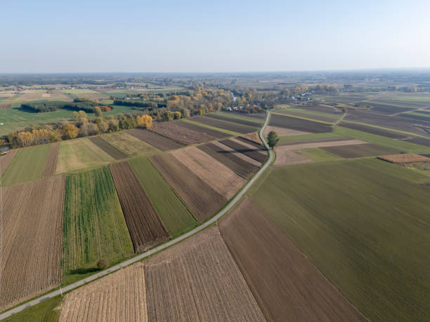 istock Aerial view of patchwork farmland with green and brown fields under a clear blue sky 2196972164