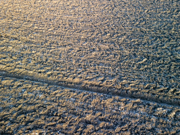 istock Textured soil with furrows under golden sunlight, showcasing agricultural land and patterns created by farming 2196972634