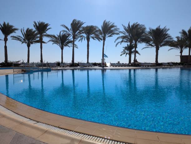istock Enjoying a peaceful and relaxing experience poolside surrounded by palm trees and an ocean view 2196973052