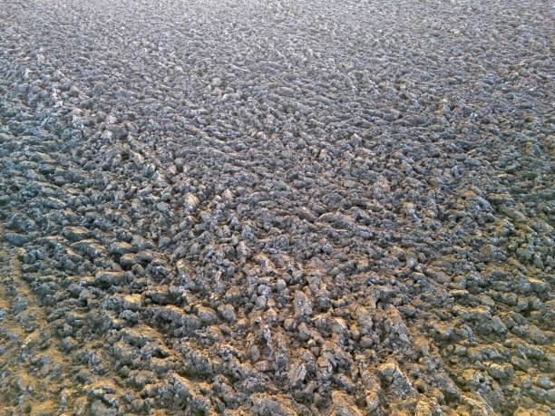 Close-up view of textured ground with unique patterns and earth tones, showcasing nature's design. Ideal for backgrounds or environmental themes.