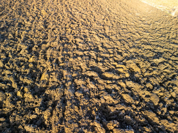istock A close-up view of freshly plowed soil showing rich textures and patterns under sunlight. Ideal for agricultural themes. 2196974133