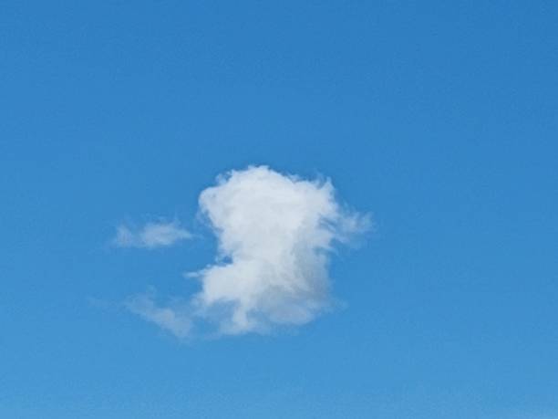 The open sky, adorned with white clouds drifting gently, creates a tranquil and serene landscape, where the sunlight blends with soft shadows, bringing a sense of peace.