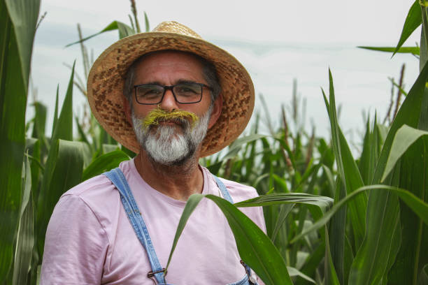 istock Senior farmer in field of corn 2196975143