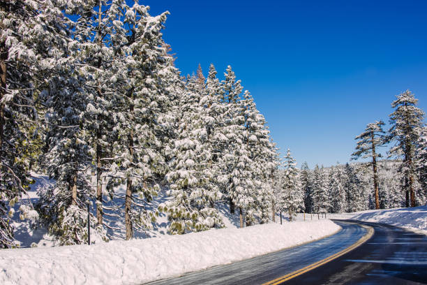 istock Snow-covered road winding through a winter forest 2196982591