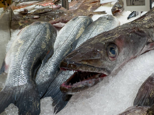 istock Fresh Fish Displayed on Ice at a Seafood Market 2196982698