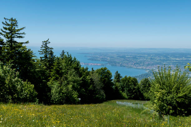Panoramic view from Pfander mountain to lake Bodensee, Vorarlberg, Austria in summertime