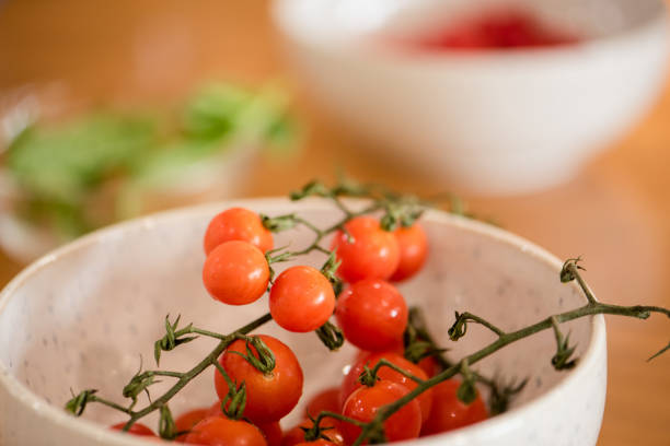 Close up of cherry tomatoes with vines in Napa, California, United States