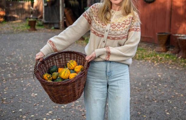 istock Woman holding decorative pumpkins in wicker basket. 2196987568