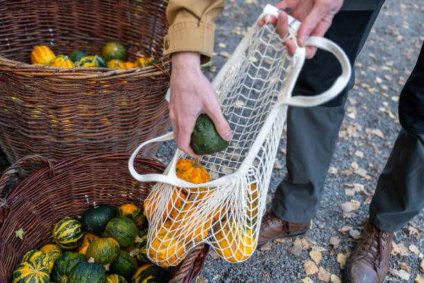 istock man puts decorative pumpkins in in a mesh bag 2196988449