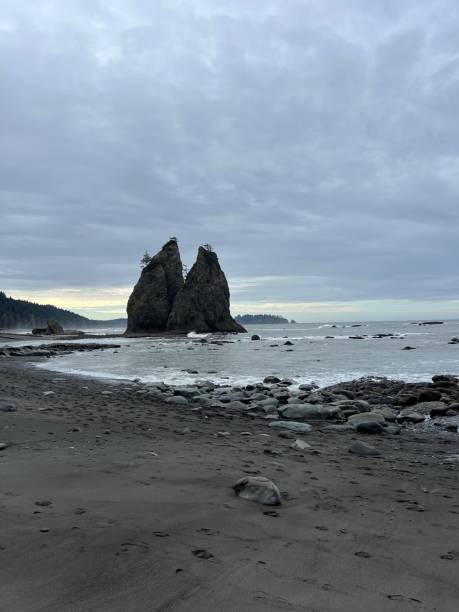 istock Olympic National Park Rialto beach Tide pools Forks 2196989714