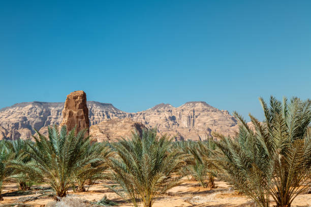 istock Lush Oasis in AlUla, Saudi Arabia Greenery Amidst Desert Mountains 2196991215
