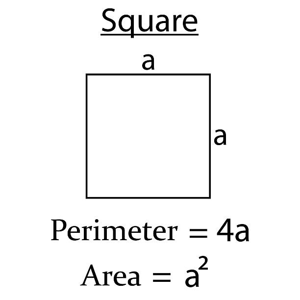Perimeter and area of square in math. shapes in geometry. Perimeter and area of square in math. shapes in geometry. Vector illustration. perimeter formula stock illustrations