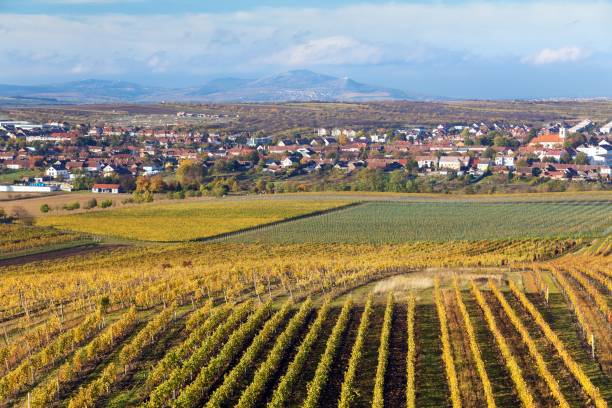 istock Velke Pavlovice among vineyards panoramic view 2197002271