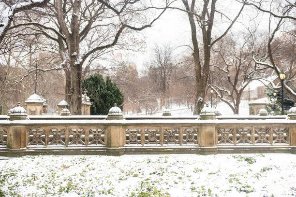 istock Central Park Architecture with Snow in NYC 2197002728
