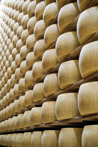 Close-up of a saleswoman slicing a cheese wheel on the counter at a delicatessen. Female hands gloves cutting big cheese on cutting board at grocery store.