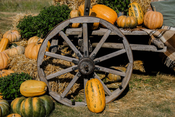 A charming autumn setting showcases various pumpkins arranged around a wooden wagon wheel with hay bales. The scene is illuminated by sunlight, creating a warm and inviting atmosphere.