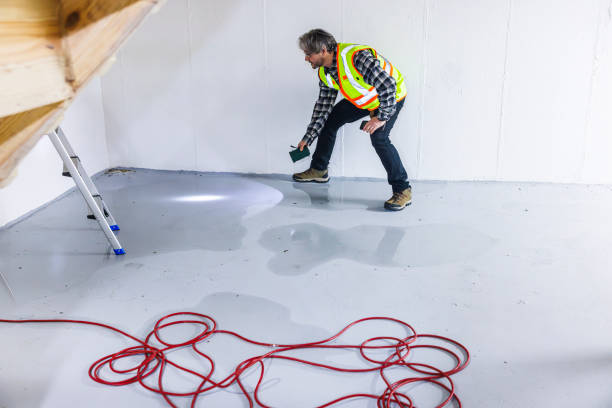 Mature inspector in safety vest, examines mold growth with flashlight, after basement flooding